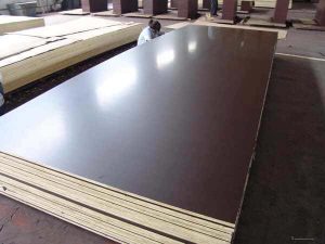 Bảng giá ván ép phủ phim 12mm mới nhất trên thị trường hiện nay như thế nào?