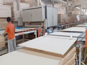 Ván ép phủ phim 14 ly được sản xuất trên dây chuyền công nghệ hiện đại và kiểm định chất lượng nghiêm ngặt